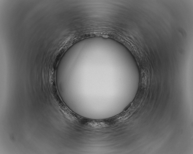 X0000110690712200906121056