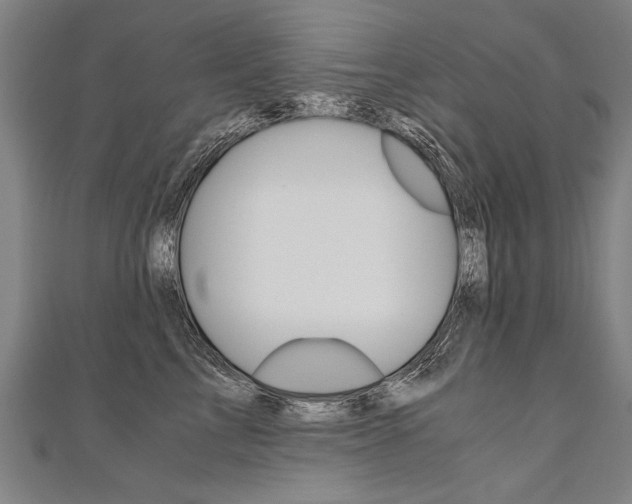 X0000110690713200906121056