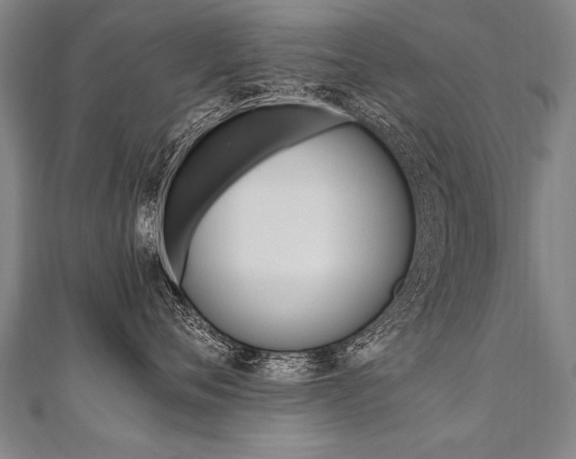 X0000110690720200906121056