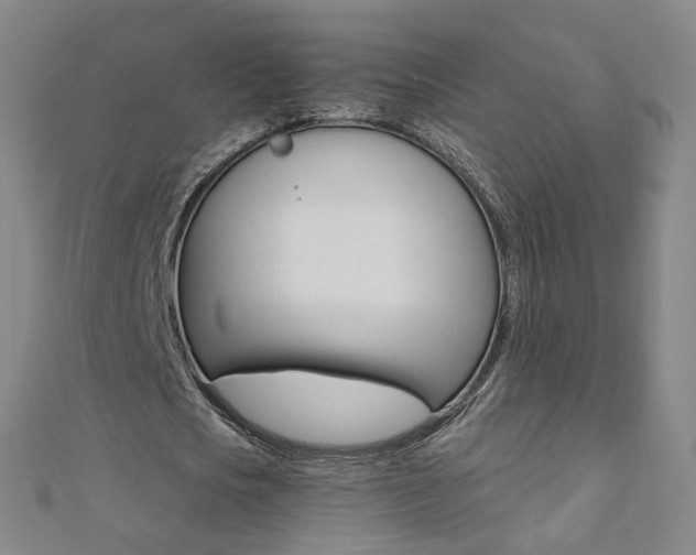 X0000110690721200906121055
