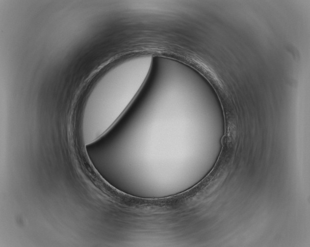 X0000110690722200906121055