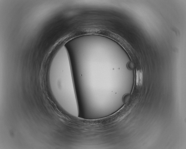 X0000110690723200906121055