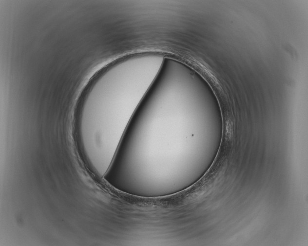 X0000110690724200906121055