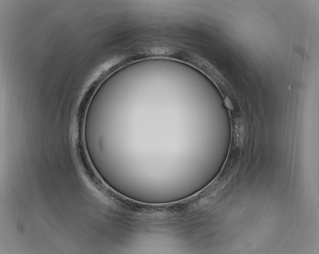 X0000110690726200906121055