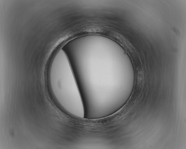 X0000110690727200906121055