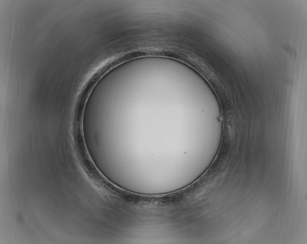 X0000110690728200906121055