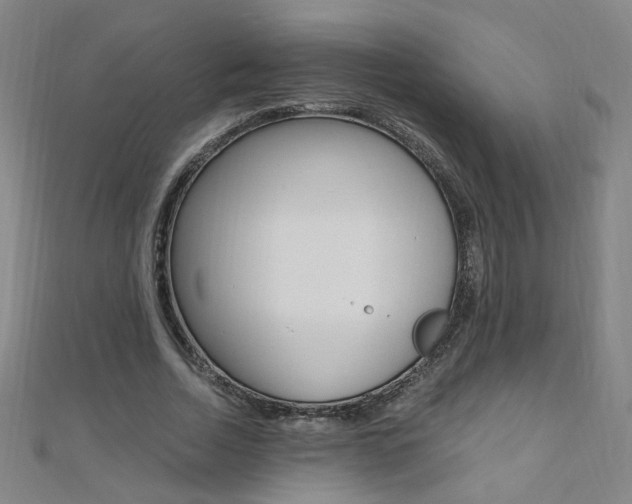 X0000110690730200906121055