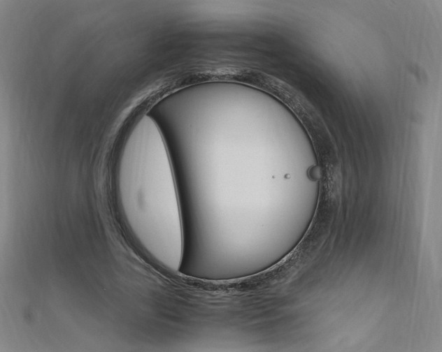 X0000110690731200906121055