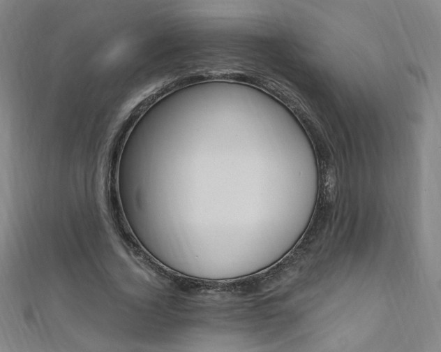 X0000110690732200906121055