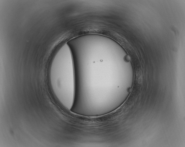 X0000110690735200906121055
