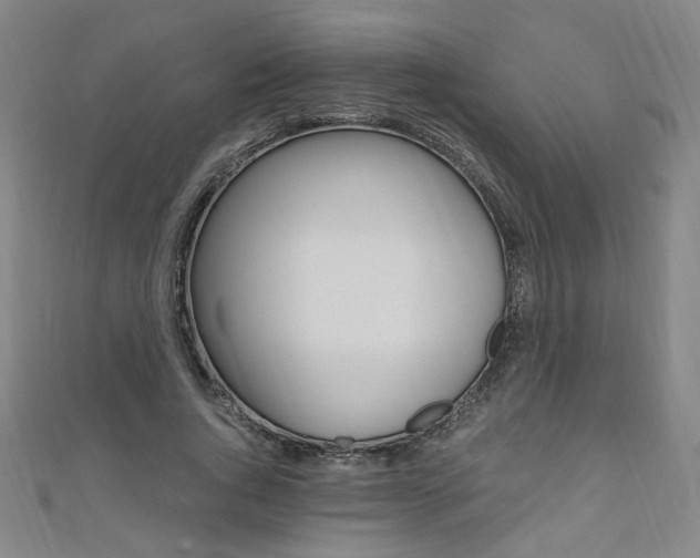 X0000110690736200906121055