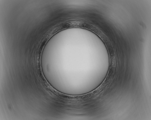 X0000110690737200906121055