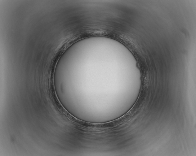 X0000110690739200906121055