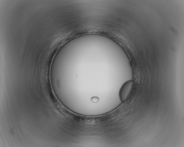 X0000110690740200906121055