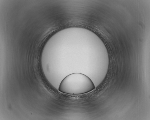 X0000110690744200906121055