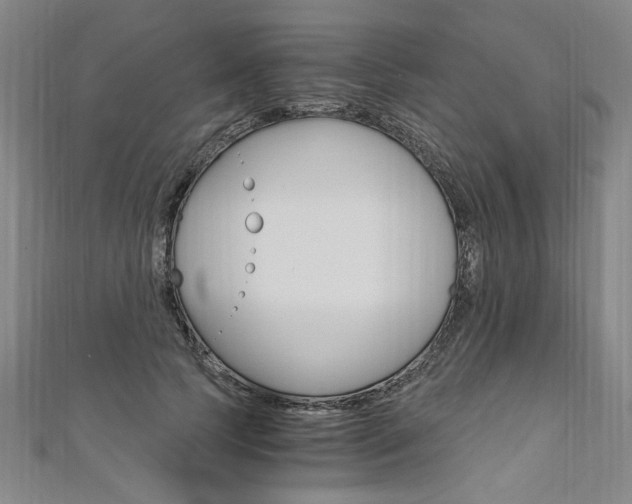 X0000110690745200906121055