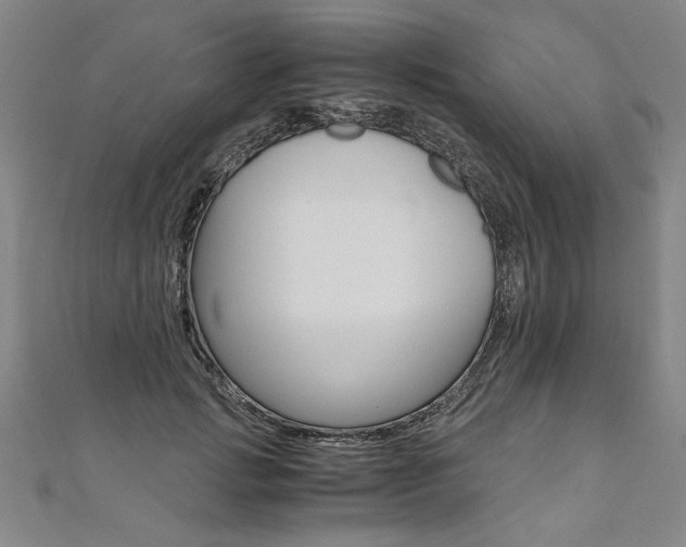 X0000110690749200906121055