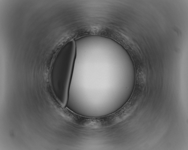 X0000110690750200906121055