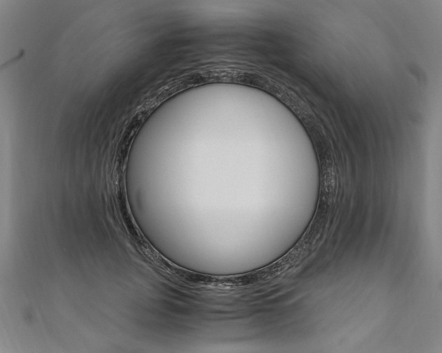 X0000110690751200906121055