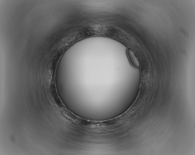 X0000110690752200906121055