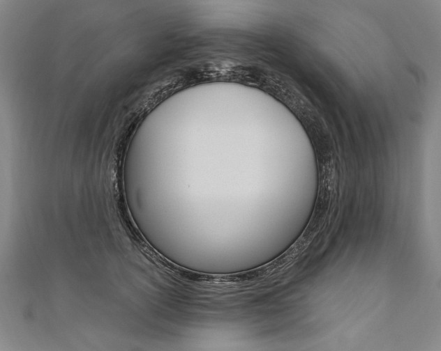 X0000110690754200906121055