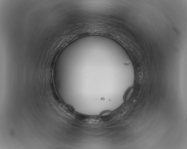 X0000110690756200906121055