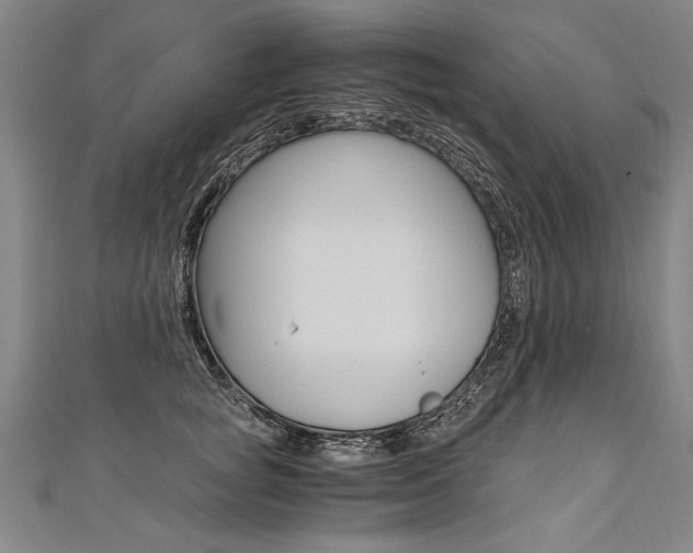 X0000110690757200906121055