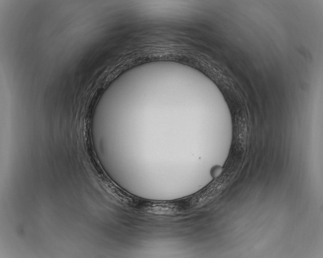 X0000110690758200906121055