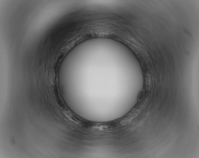 X0000110690760200906121055