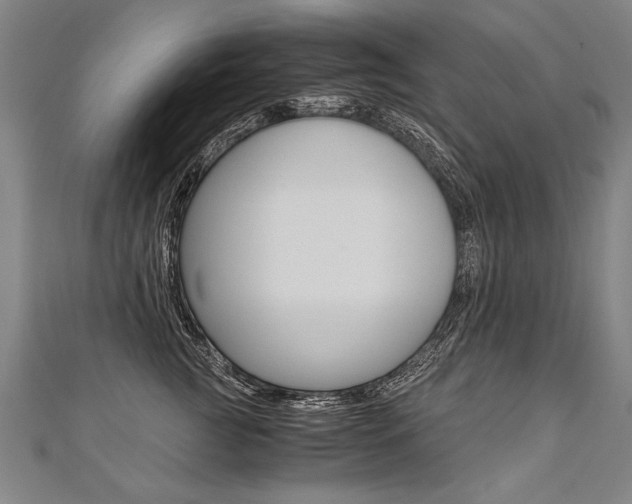 X0000110690761200906121055