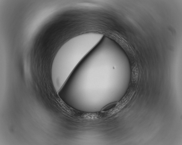X0000110690762200906121055