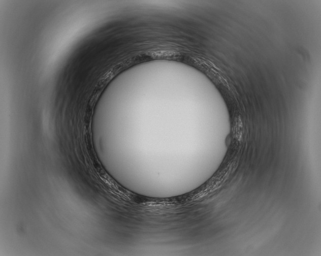 X0000110690763200906121055
