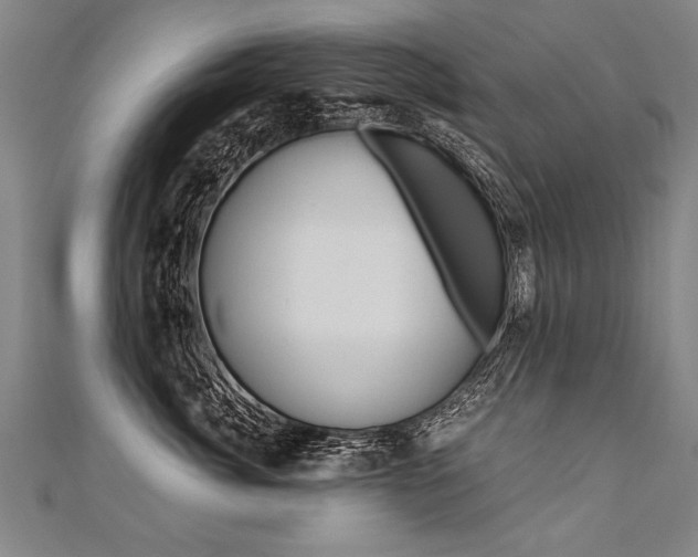 X0000110690764200906121055