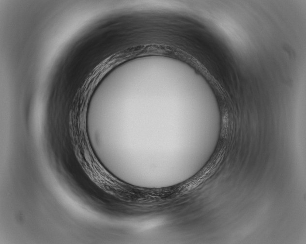 X0000110690765200906121056
