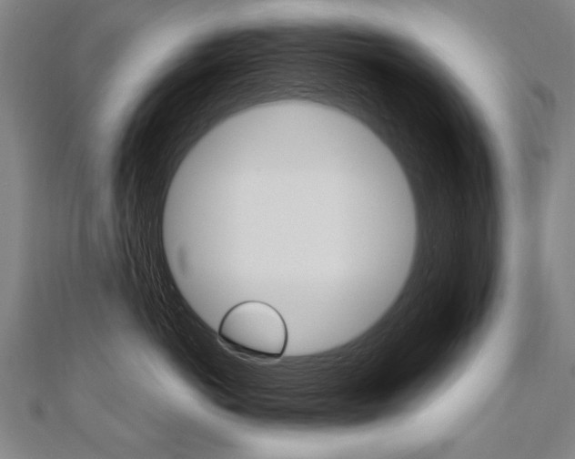 X0000110690766200906121056
