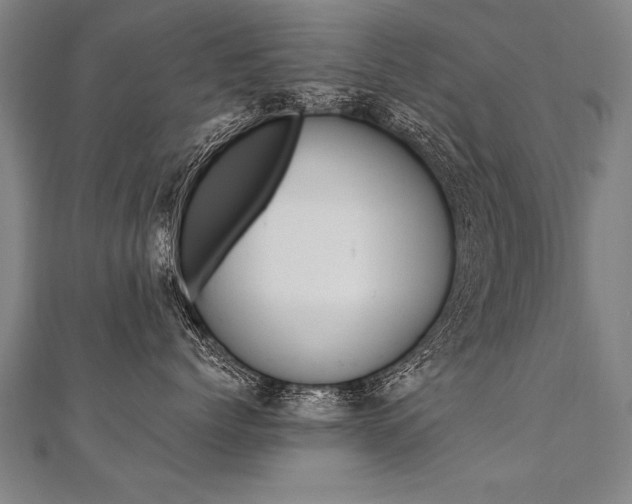 X0000110690768200906121056