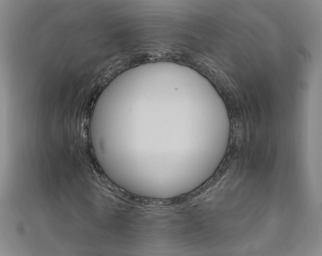 X0000110690770200906121055
