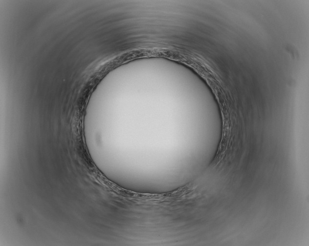 X0000110690773200906121055