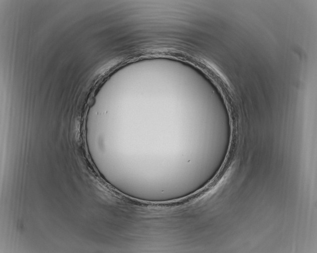 X0000110690777200906121055