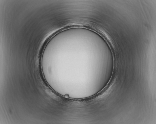 X0000110690779200906121055