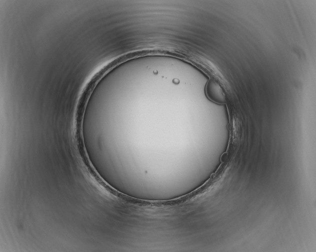 X0000110690780200906121055