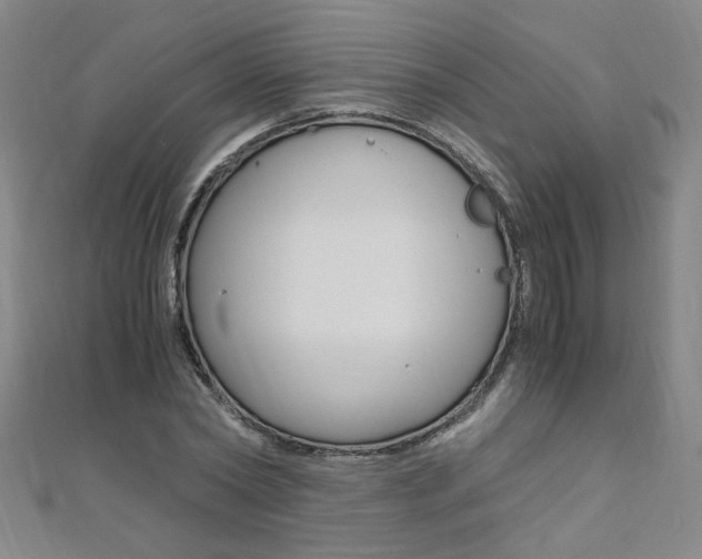 X0000110690782200906121055