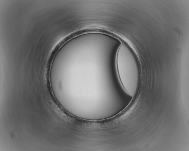 X0000110690783200906121055