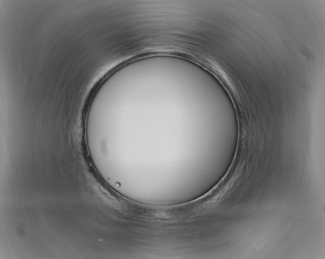 X0000110690787200906121055