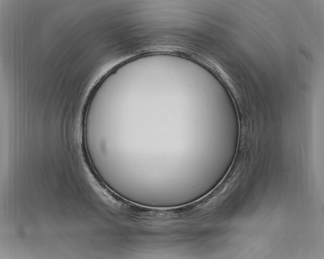 X0000110690795200906121054