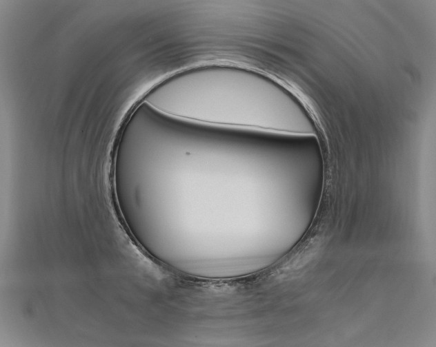 X0000110690799200906121054