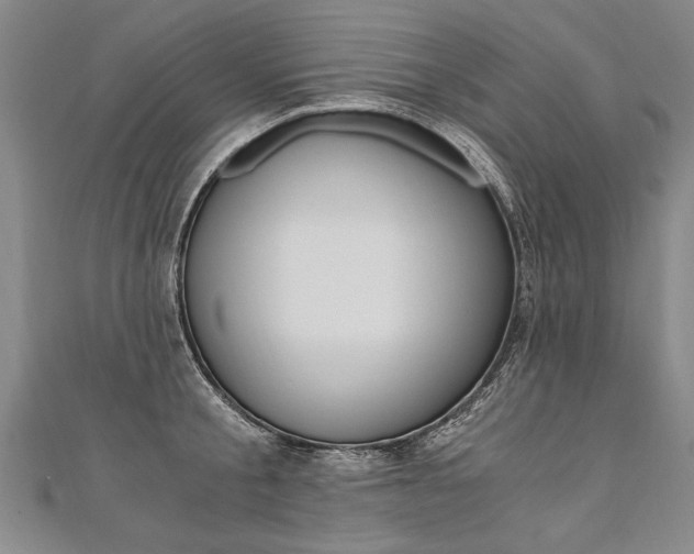X0000110690805200906121054