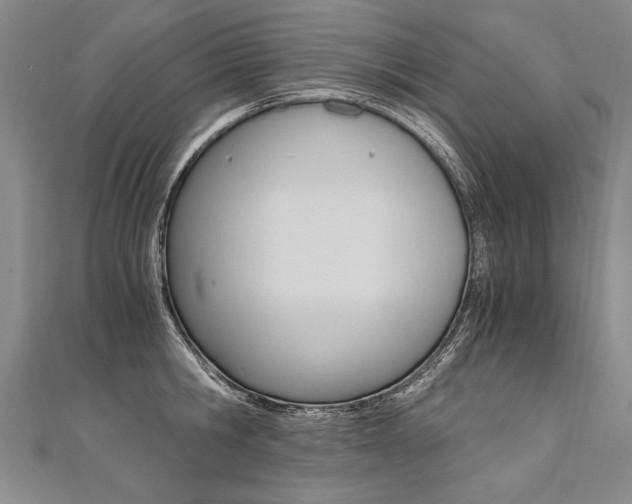 X0000110690806200906121054
