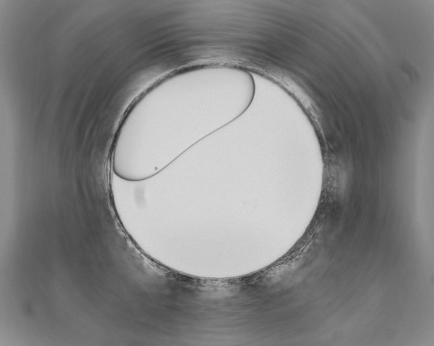 X0000110690807200906121054