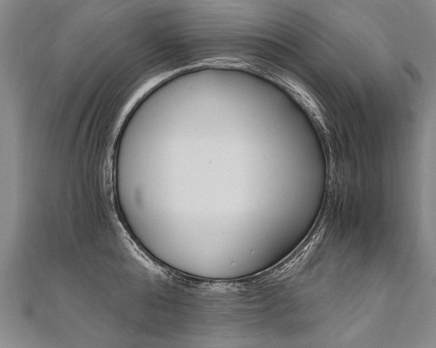 X0000110690808200906121054